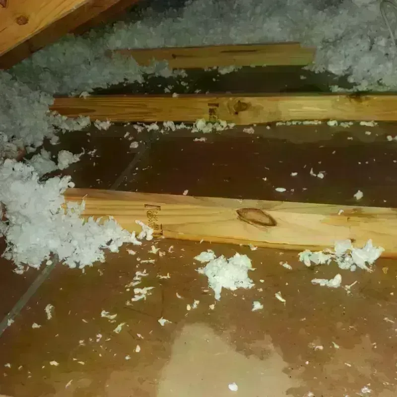 Attic Water Damage in Guthrie, KY